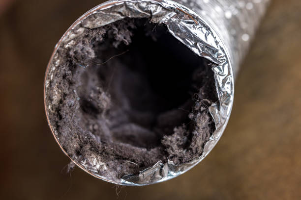 Best Affordable Duct Cleaning Services  in Peekskill, NY
